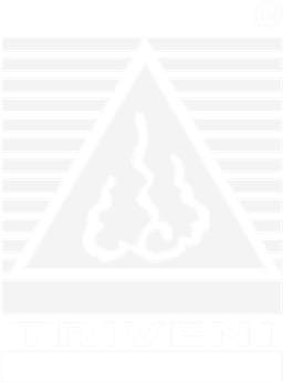 triveni.kala.sangam